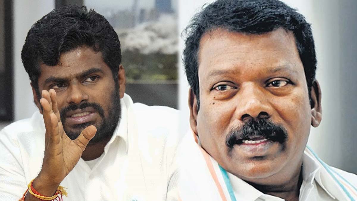 நல்ல அரசியல் தலைவருக்கு அழகு; செல்வப்பெருந்தகைக்கு அண்ணாமலை பதிலடி